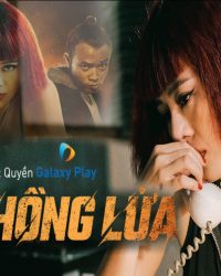 Bông Hồng Lửa